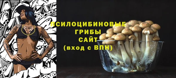 apvp Верхний Тагил